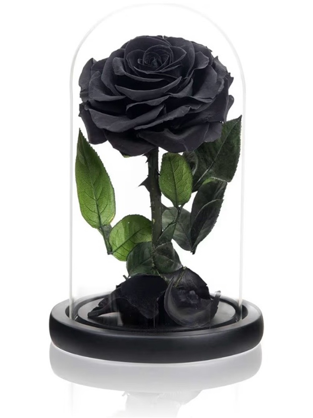 NATROSES Handmade Preserved Black Rose in Glass Dome New in Box Halloween